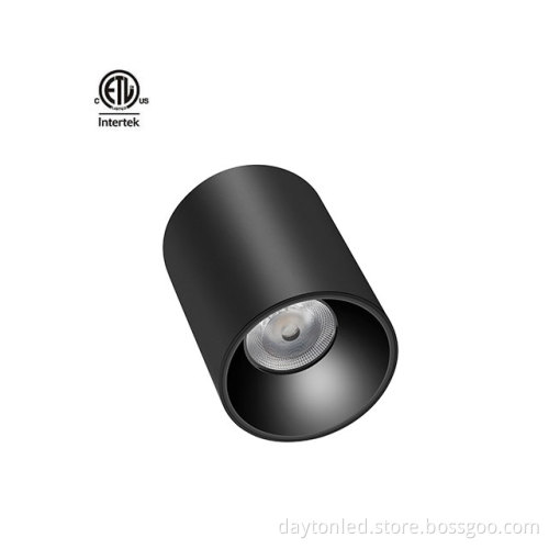 Daytonled Master D IP65 Series ETL CETL Certified Pendant Light